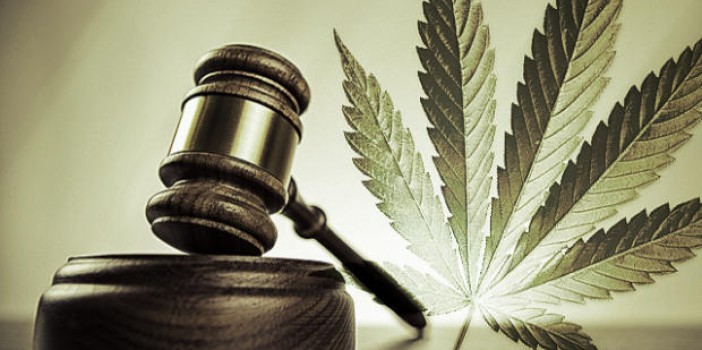 Philadelphia City Council will hear testimony on changing marijuana policy