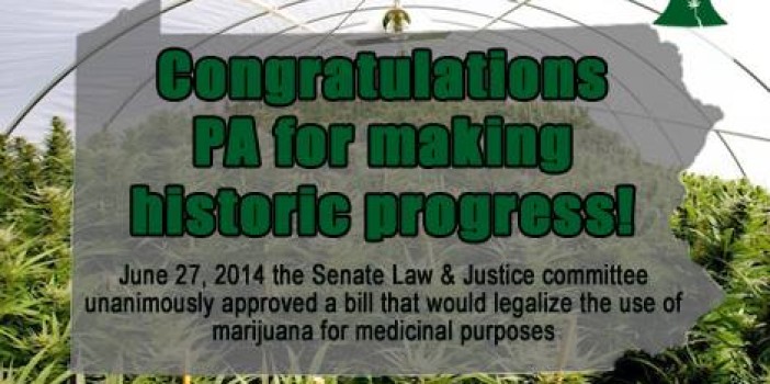 Medical Cannabis Bill SB1182 Amended, Clears Law and Justice Committee