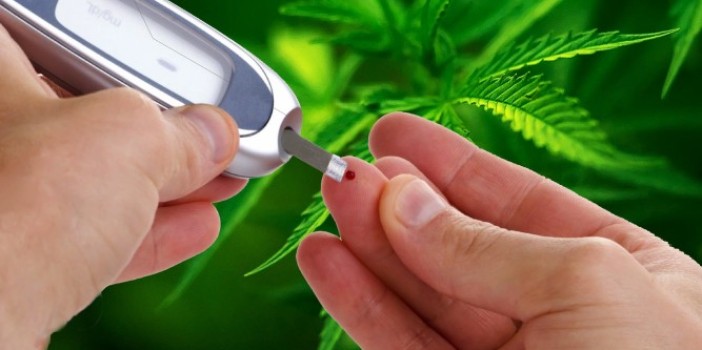 Medical Marijuana and Diabetes: How Cannabis Use Can Help Reduce a Very Common Disease
