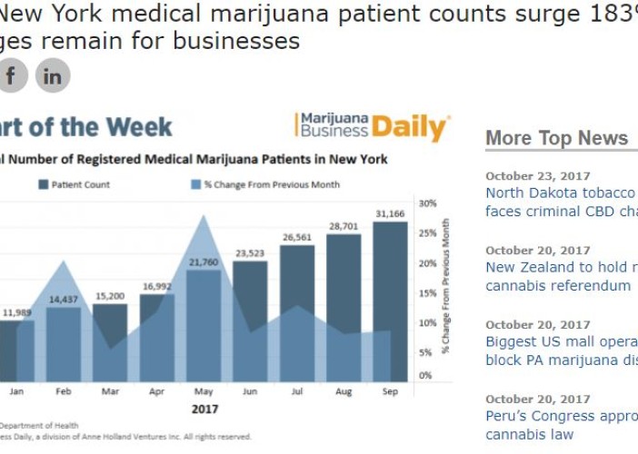 New York medical marijuana patient counts surge 183%, but challenges remain for businesses