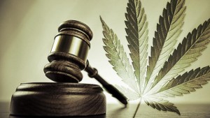 marijuana_legal_gavel